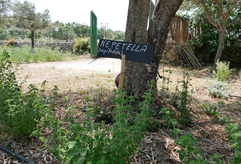 ホテル Agriturismo Pantalica Ranch