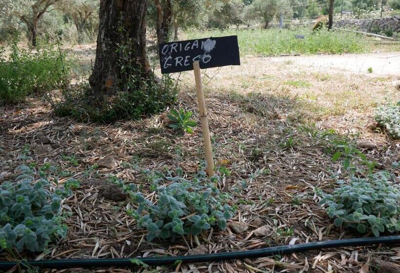 Отель Agriturismo Pantalica Ranch