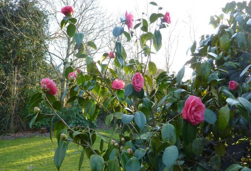 בית מלון כפרי Pension Zoom Oord