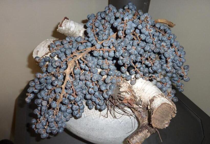 בית מלון כפרי Pension Zoom Oord