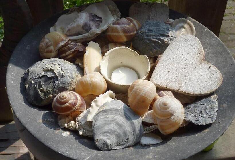 בית מלון כפרי Pension Zoom Oord