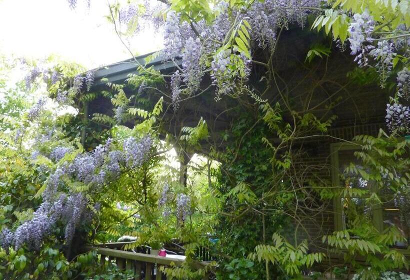 בית מלון כפרי Pension Zoom Oord