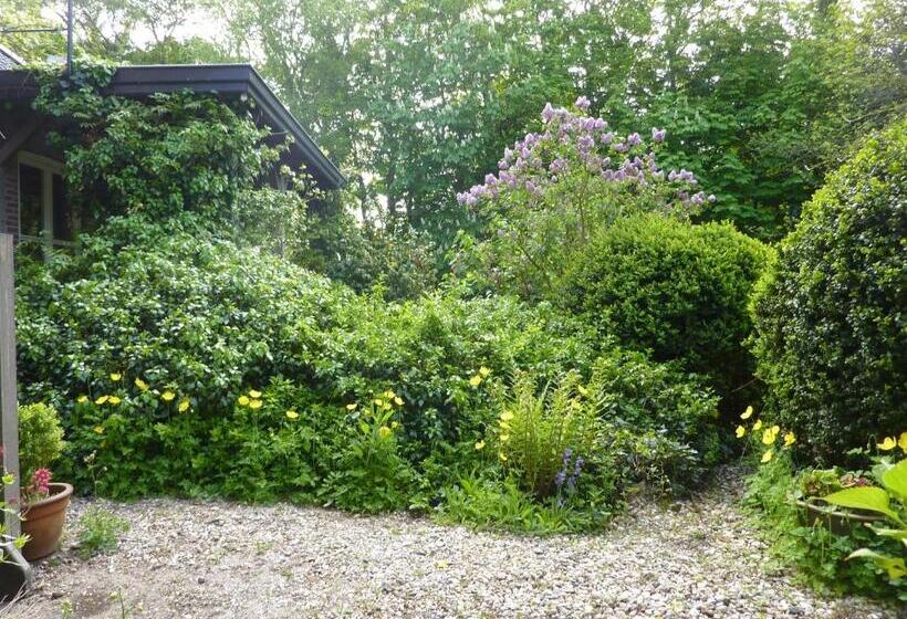 בית מלון כפרי Pension Zoom Oord