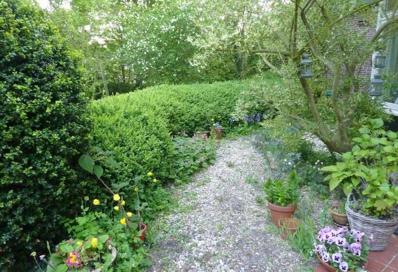 בית מלון כפרי Pension Zoom Oord