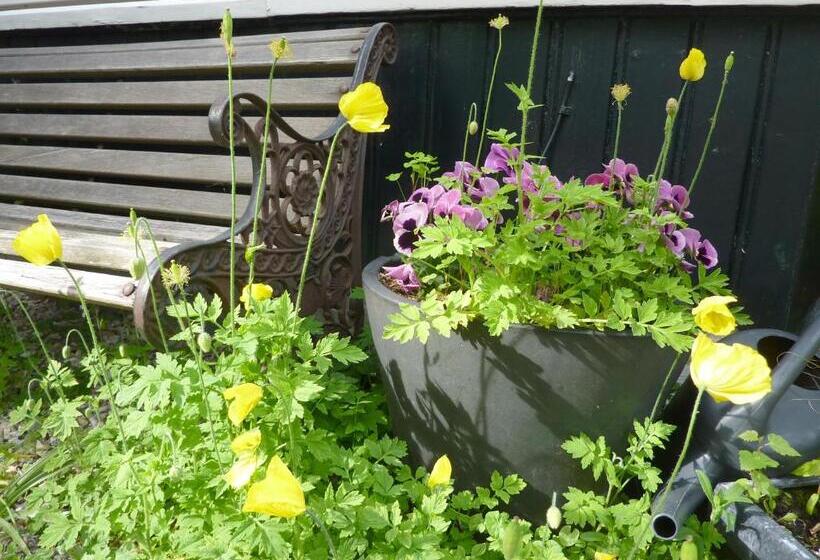 בית מלון כפרי Pension Zoom Oord