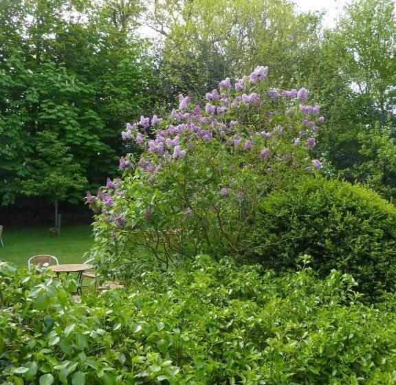 בית מלון כפרי Pension Zoom Oord