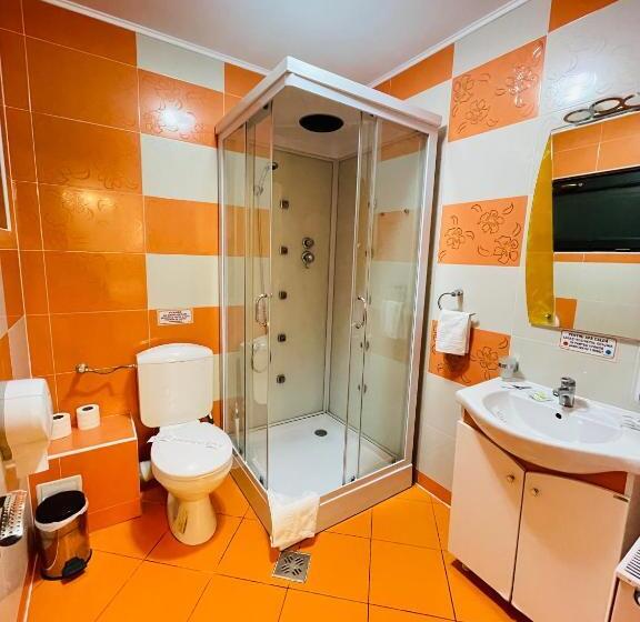 ホテル Pensiunea Ianis Piatra Neamt