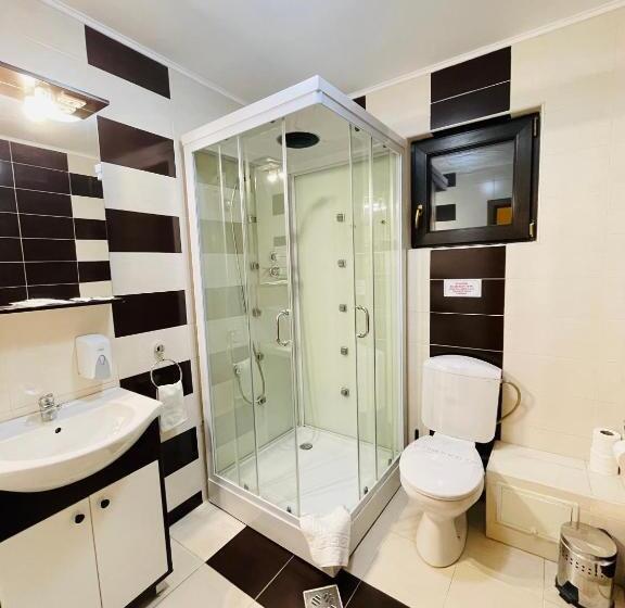 ホテル Pensiunea Ianis Piatra Neamt