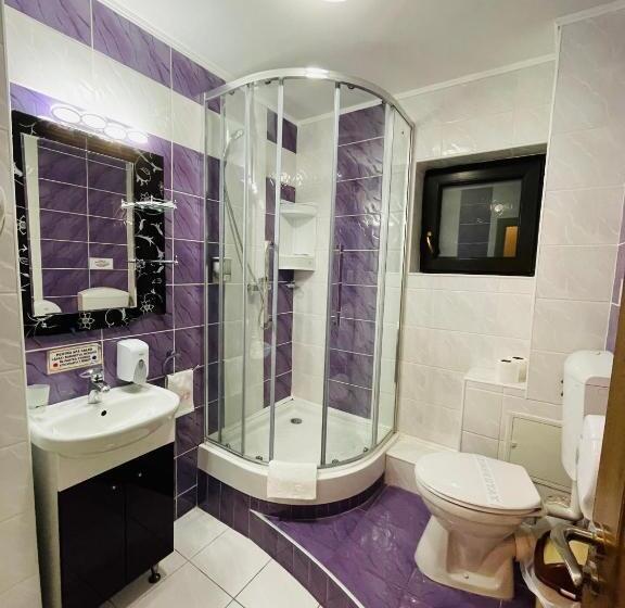 ホテル Pensiunea Ianis Piatra Neamt