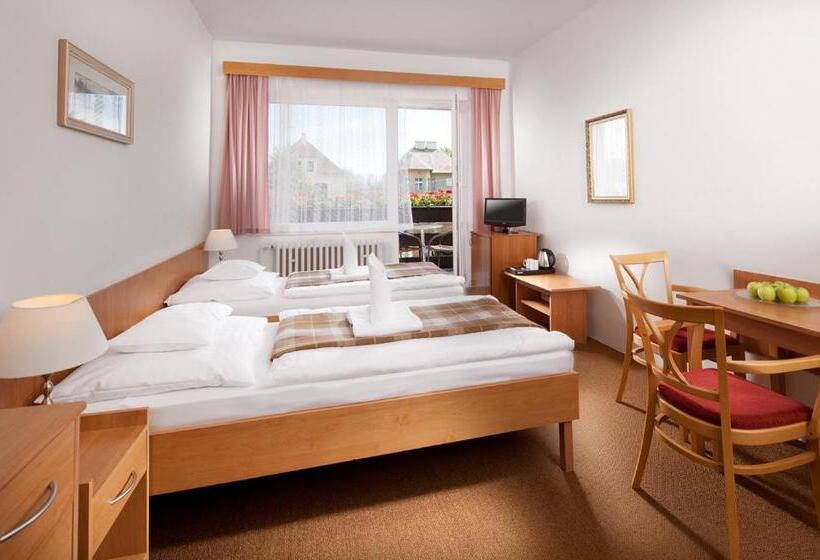 Отель Penzion Hubert Františkovy Lázně