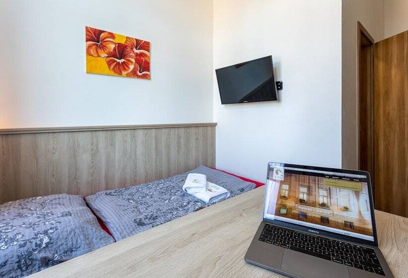 酒店 Penzion U Vlka