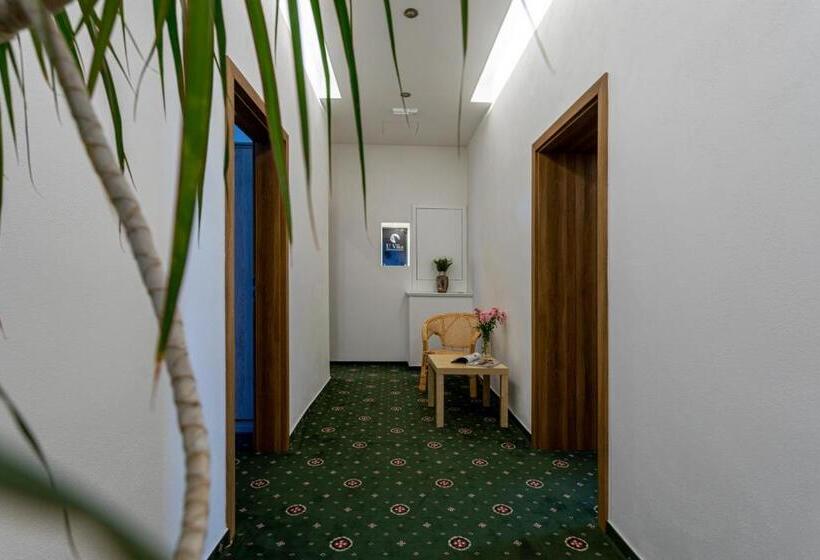 酒店 Penzion U Vlka