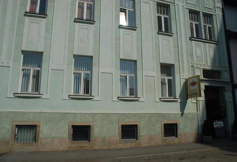 酒店 Penzion U Vlka