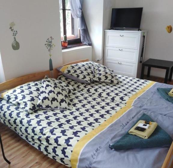 בית מלון כפרי Penzion Willa