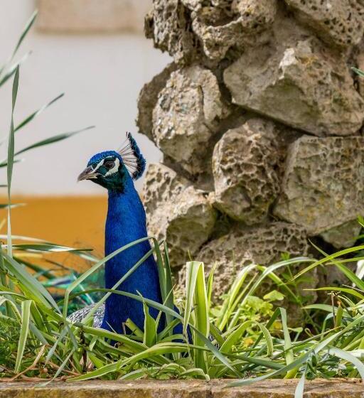 酒店 Quinta Da Foz