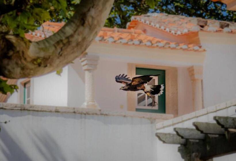 酒店 Quinta Da Foz