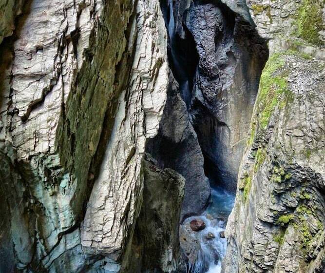 בית מלון כפרי Alpenrose