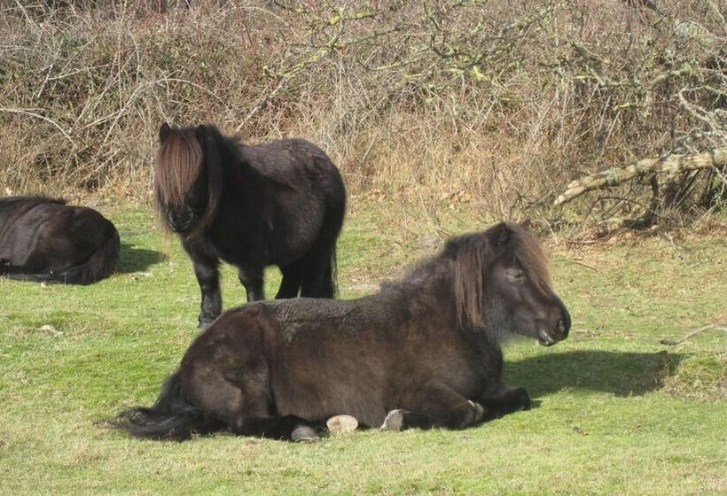 호텔 Restaurant Anno Nu