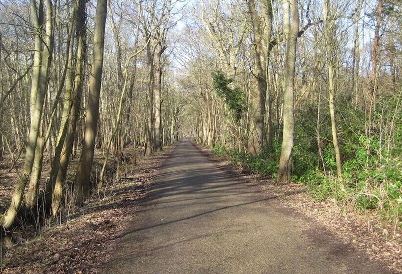 호텔 Restaurant Anno Nu