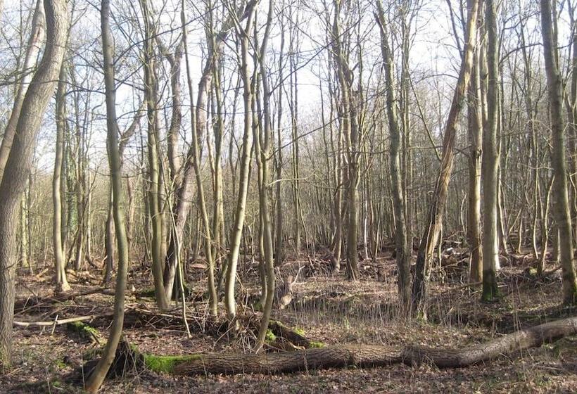 호텔 Restaurant Anno Nu