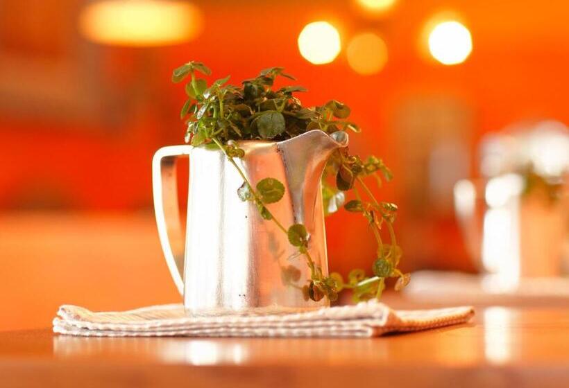 فندق & Restaurant Zum Beck