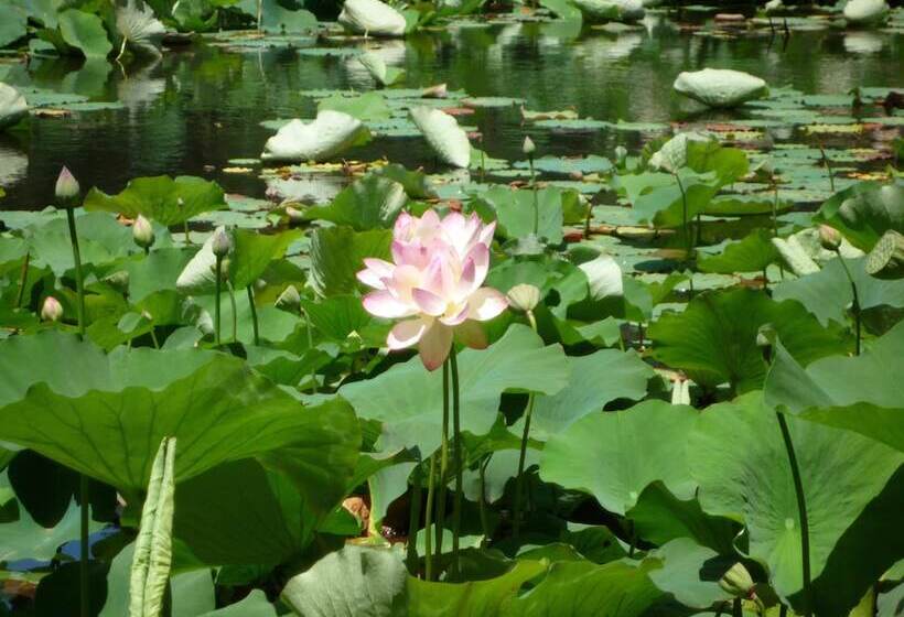 בית מלון כפרי Rothman Manor