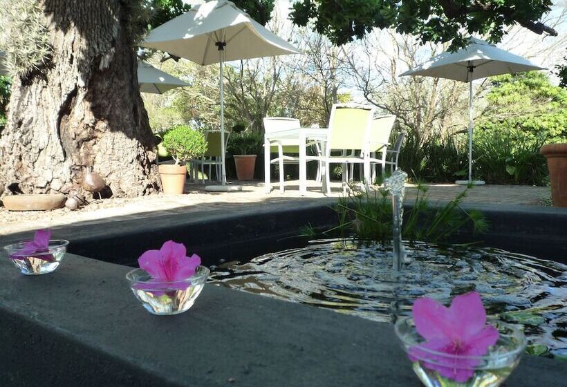 בית מלון כפרי Rothman Manor