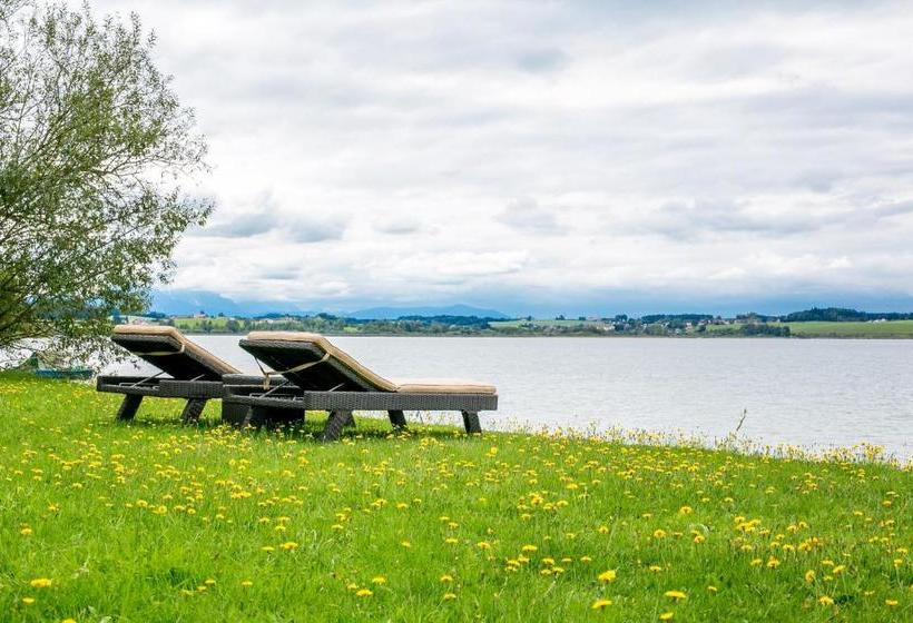 فندق Seebrunn Am Wallersee