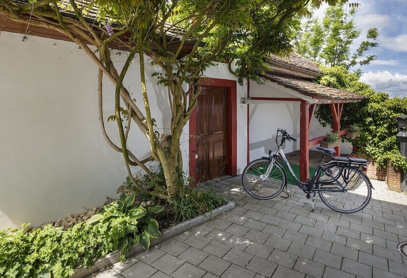 فندق Seemöwe Swiss Quality