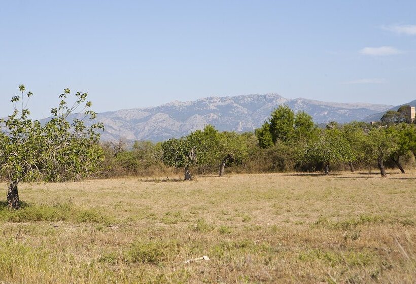 酒店 S Hort De Son Caulelles   Adults Only