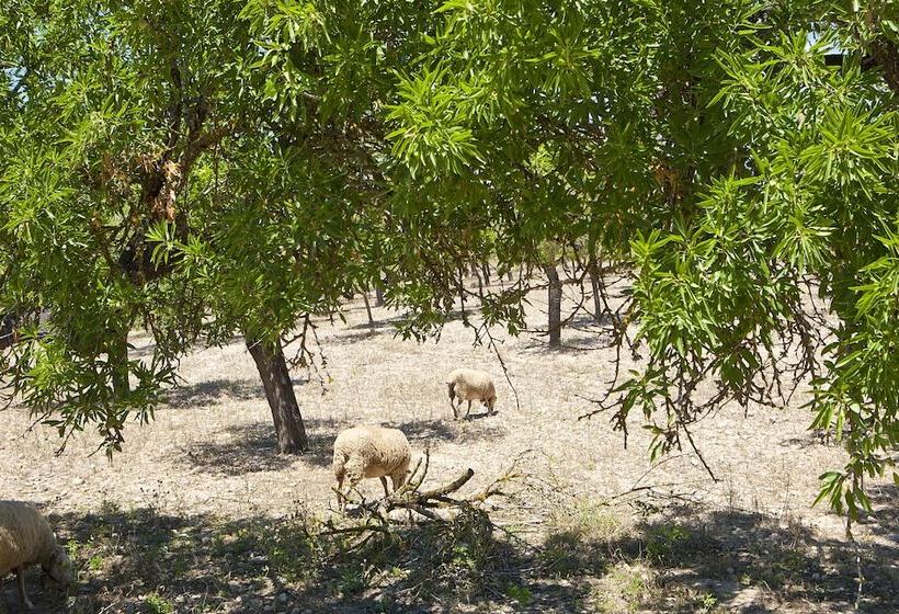 酒店 S Hort De Son Caulelles   Adults Only