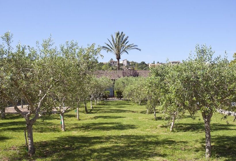 酒店 S Hort De Son Caulelles   Adults Only