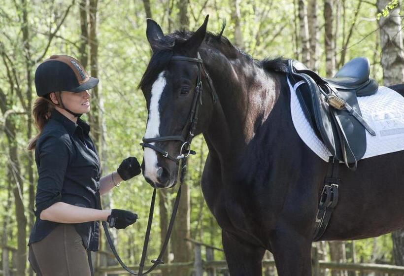 בית מלון כפרי Spa Dr Irena Eris Wzgorza Dylewskie