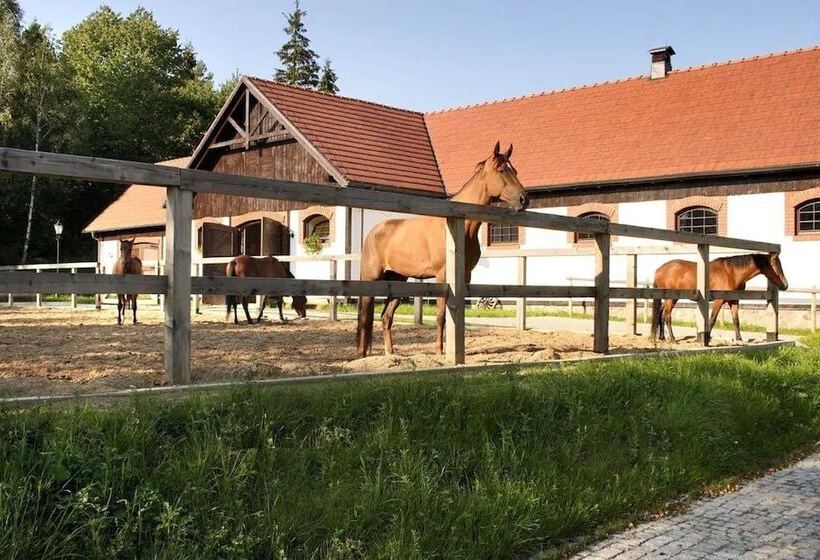 בית מלון כפרי Spa Dr Irena Eris Wzgorza Dylewskie