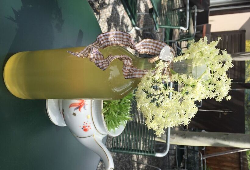 Отель Sportcenter Funf Dorfer Ag