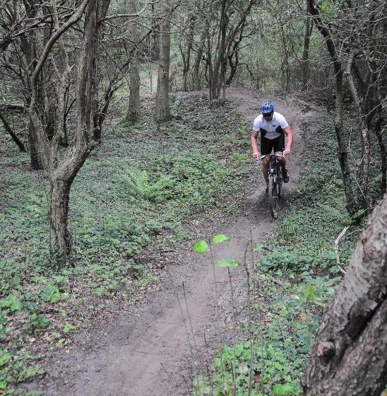 בית מלון כפרי ´t Wapen Van Marion