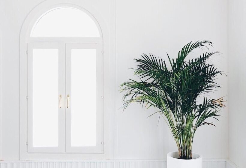 فندق & Talasoterapia Zelai