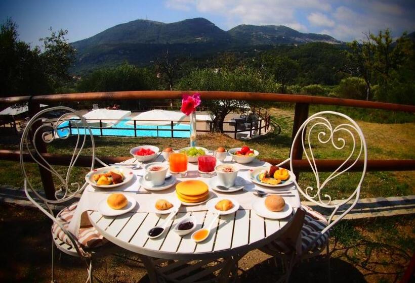 호텔 Tenuta Terre Di Bosco