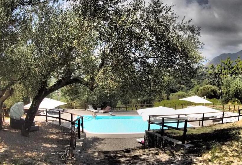 호텔 Tenuta Terre Di Bosco