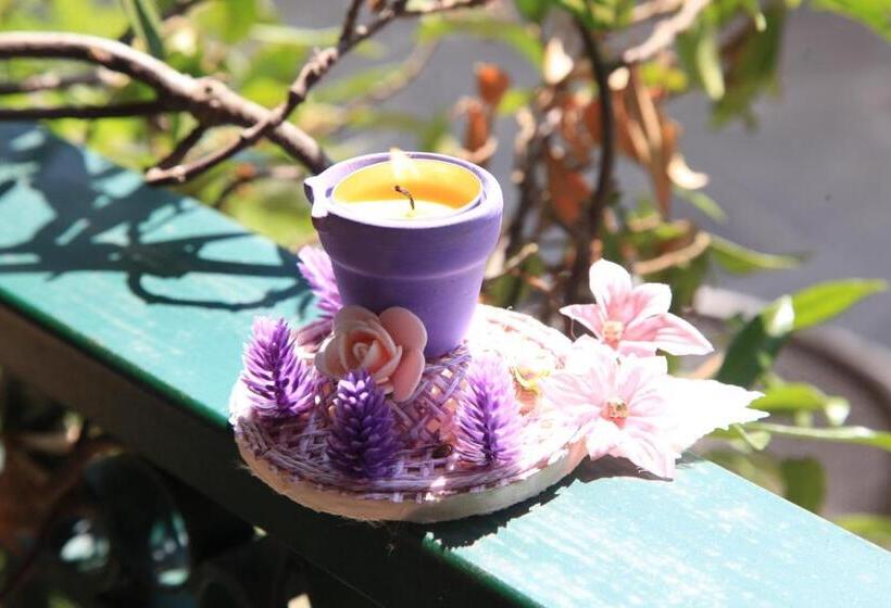 호텔 Tenuta Terre Di Bosco