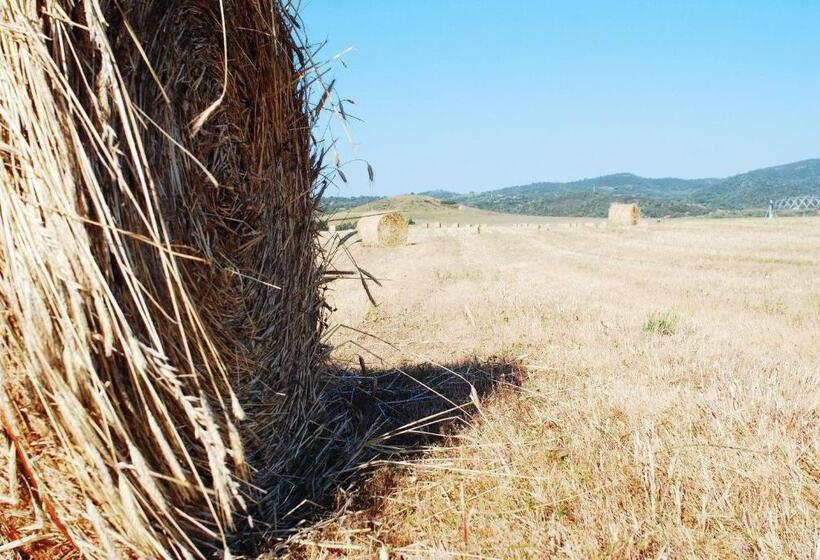 Отель Tres Marias