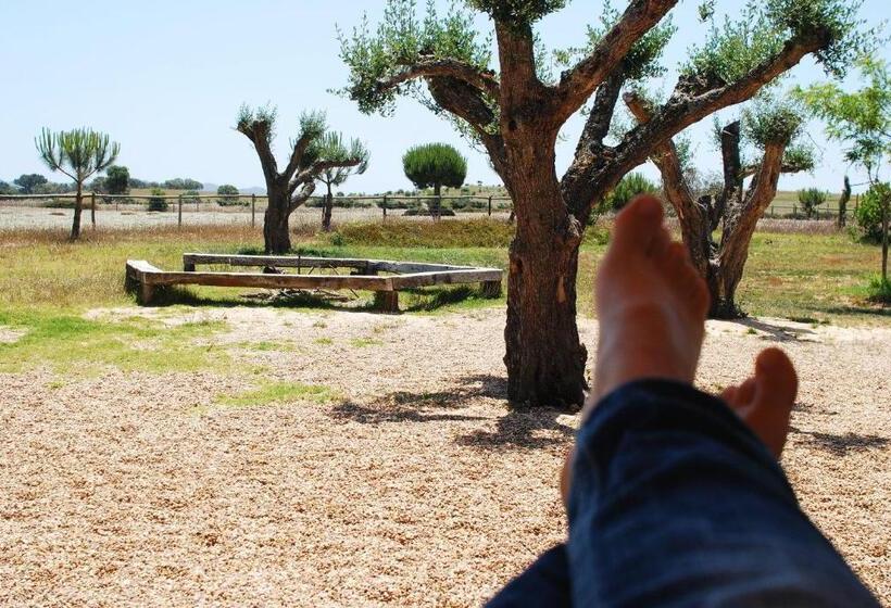 Отель Tres Marias