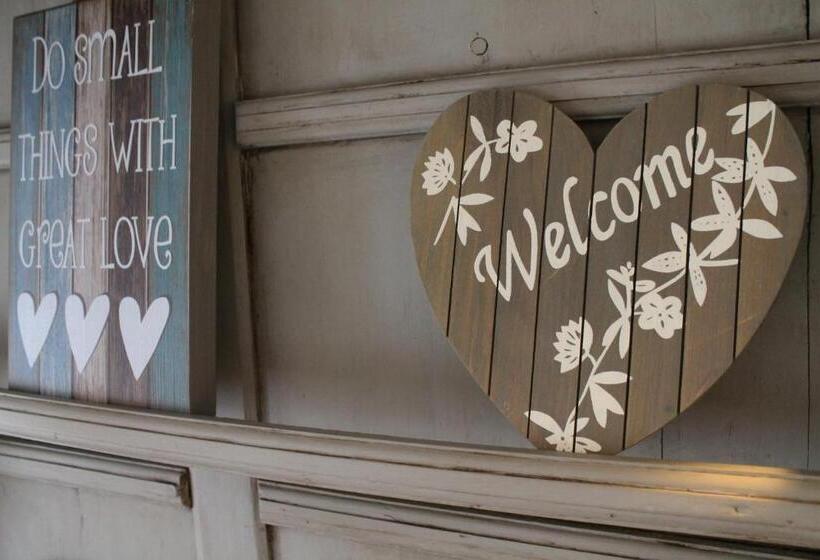 בית מלון כפרי Triniteit