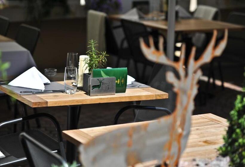 Отель Und Restaurant Zum Hirschen