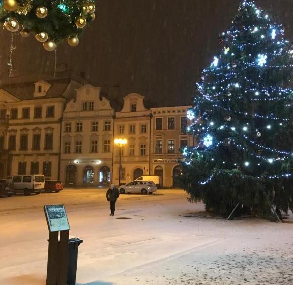 ホテル Vacek Pod Věží