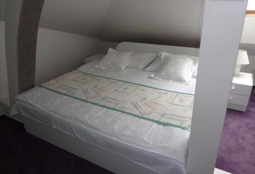 ホテル Vacek Pod Věží