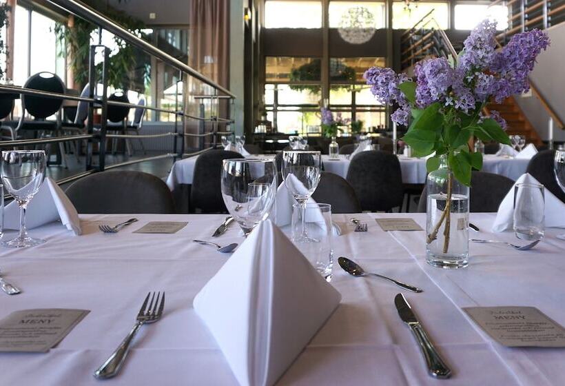 ホテル Dinners Mellerud