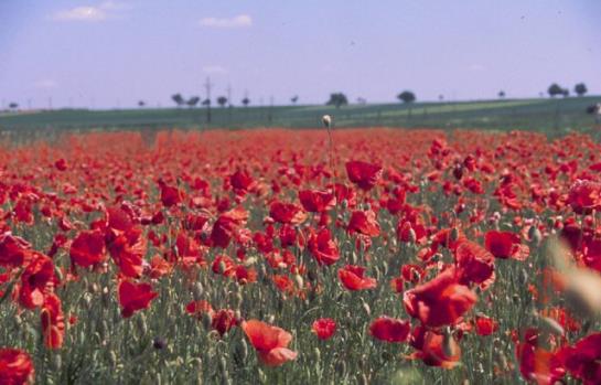 בית מלון כפרי Zum Brüdertor