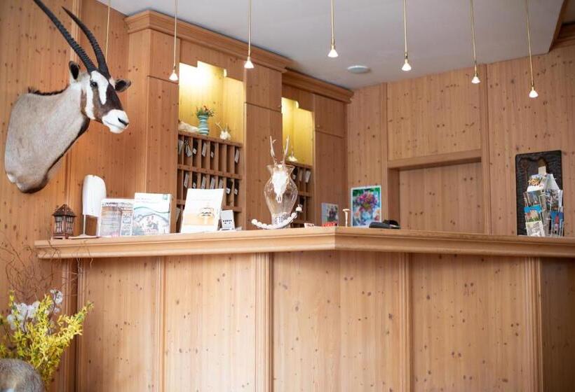 호텔 Zum Goldenen Hirschen