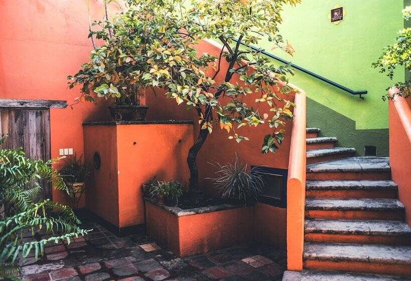 Mesón De Santa Elena Hotel Galeria